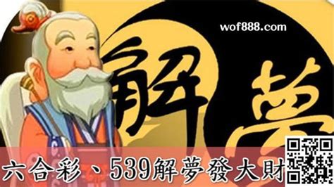 鳥是代表幾號|夢到鳥代表幾號